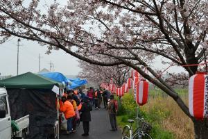 国分川桜まつり画像2