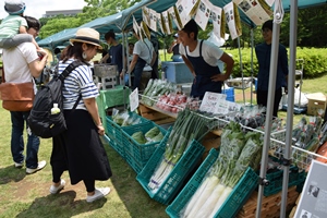 野菜を販売している様子