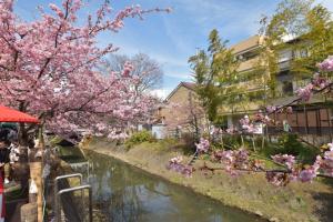 河津桜まつり