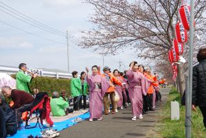 国分川桜まつり画像1