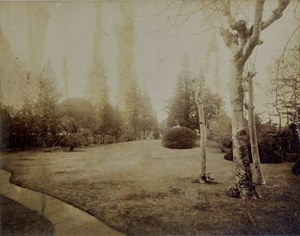 庭園の写真1