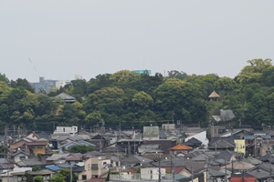 市街地の向こうに見える戸定が丘歴史公園