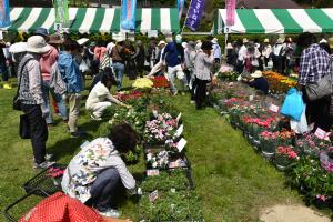 草花・鉢花販売の写真