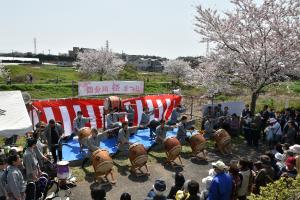 国分川桜まつりの写真2