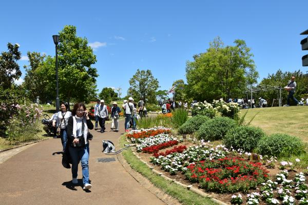 ゆいの花公園入口から見た写真