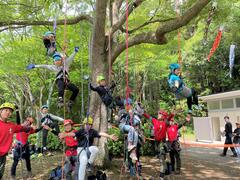 ツリークライミング体験会
