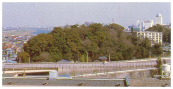 浅間神社の極相林の写真