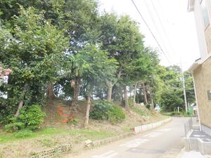 五香六実野馬除土手写真