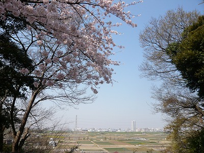 野菊苑からの眺望