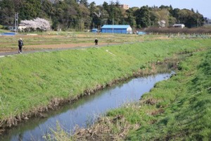 富士川の様子