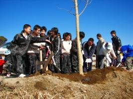 国分川植樹の様子