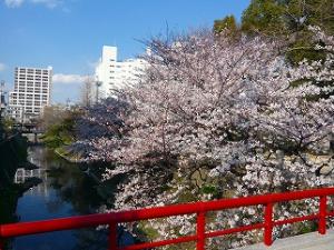 17坂川再生事業3