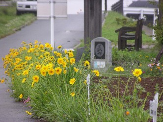 春の風景_1