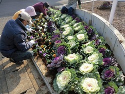 常盤平安全安心ステーションの花壇写真