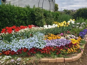 金ケ作育苗圃前の花壇写真