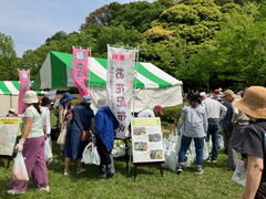 緑と花のフェスティバルの写真