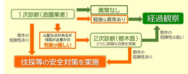緊急点検の実施フロー