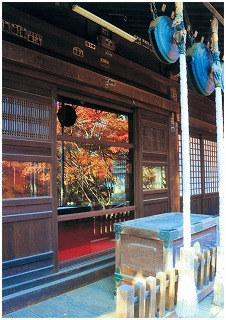 ガラスに映る紅葉写真