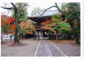 東漸寺の紅葉写真