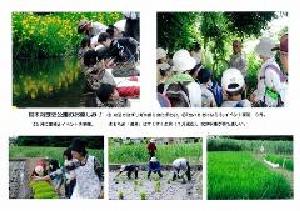 根木内歴史公園で自然と触れ合う人々の写真