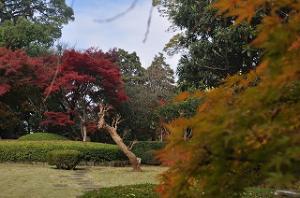 戸定邸の紅葉写真