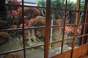 戸定邸から見た紅葉の写真