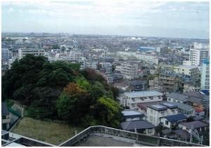 たぶらの木などが繁っている金山神社の写真