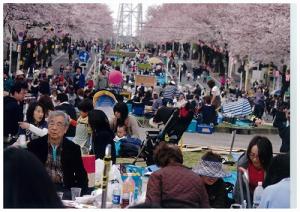 六高台で花見を楽しむ人々の写真