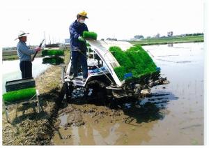 田植機で田植をする人の写真