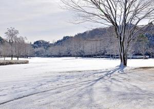 二十一世紀の森雪景色