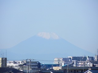 牧の原から見える富士山写真