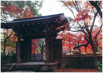 東漸寺の写真