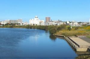 江戸川風景（旧葛飾橋上より）の写真
