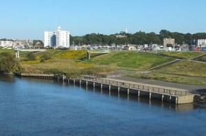 江戸川風景（緊急船着場・戸定が丘を望む）の写真