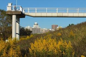 小山樋管を望むの写真