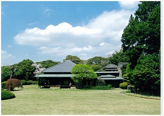 戸定邸のさくら（日中）の写真