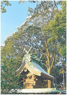 高尾神社（雪の朝）の写真