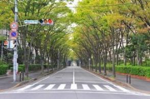 けやき通りの道路の真ん中から撮影した写真