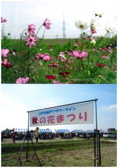 古ヶ崎：江戸川