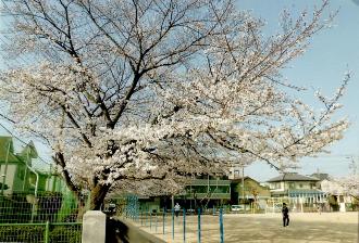 北部小学校