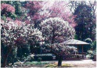 戸定が丘歴史公園