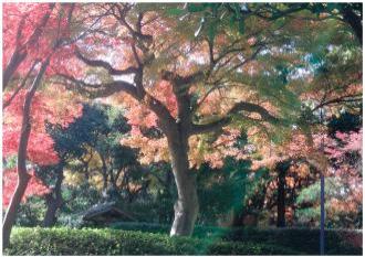 戸定が丘歴史公園