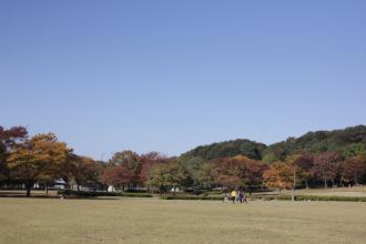 広場の紅葉写真