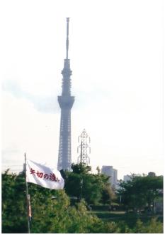 矢切の渡しから見たスカイツリー写真