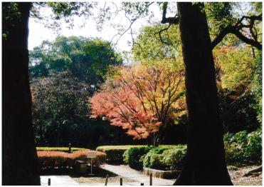 戸定が丘歴史公園