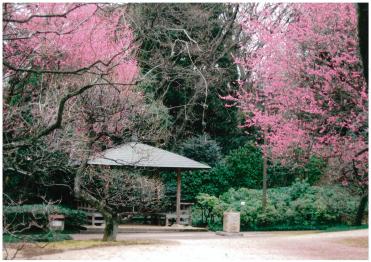 戸定が丘歴史公園