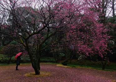 戸定が丘歴史公園