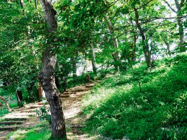 緑豊かな木々の彩がまぶしいかぶと公園