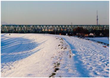 雪景色となった江戸川河川敷