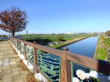川の一里塚・坂川。都市部に近い貴重なこの景観を、ぜひ大切にしたいです